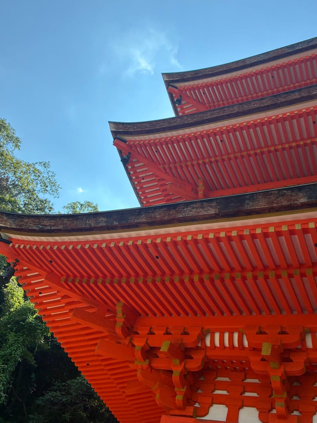 文化芸術体験ツアー「長福寺リトリートツアー」